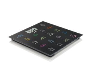 Pesapersone elettronica PS1061